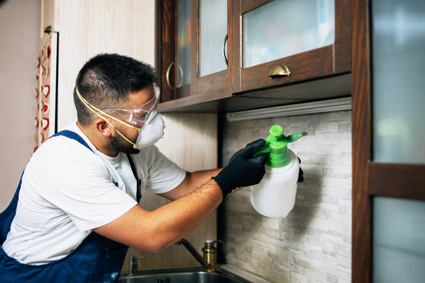 Best Mosquito Control Services  in Simpsonville, KY