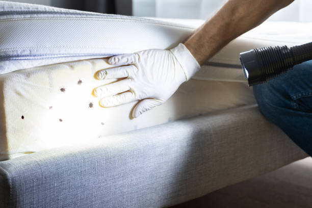 Best Termite Control Services  in Simpsonville, KY