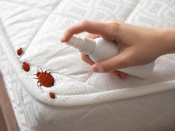 Best Wasp Removal Services  in Simpsonville, KY