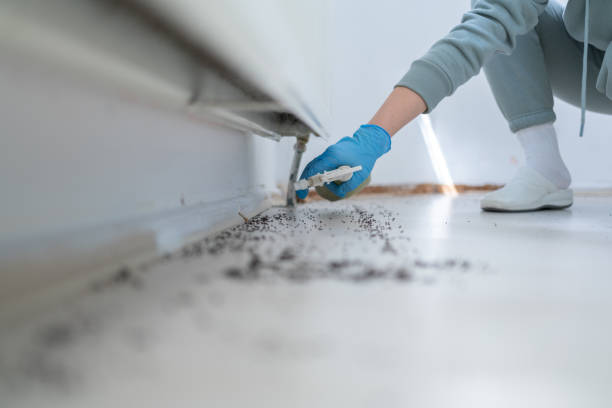 Best Insect Control  in Simpsonville, KY